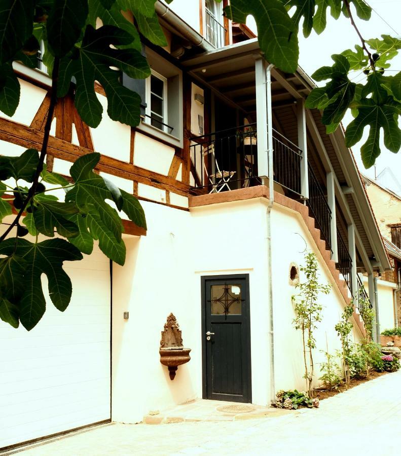 La Cour Sainte Agnes Apartment Obernai Luaran gambar