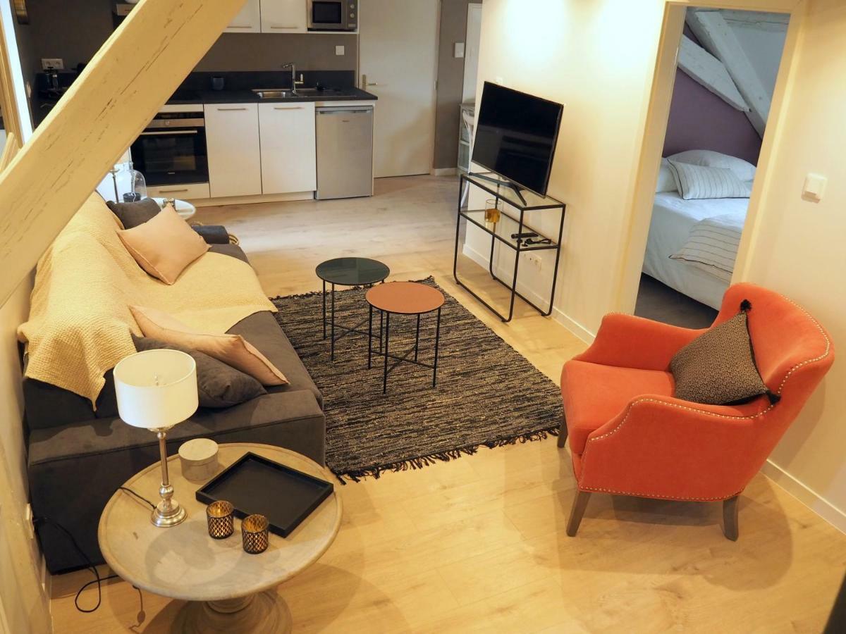 La Cour Sainte Agnes Apartment Obernai Luaran gambar